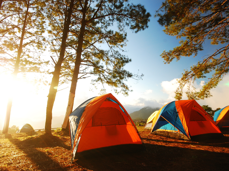 Tents at a camping spot with the rising sun.